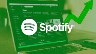 The Role of SpotifyStorm in Growing an Artist’s Career