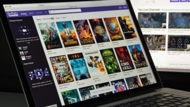 What Makes Streamoz Stand Out from Other Twitch Services?