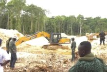 Prove galamsey claims or I step down -NDC Vice Chair dares accusers