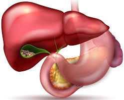 Did you know that you can survive without some of your human organs?