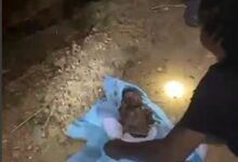 Newborn rescued from latrine in Obuasi after timely fire service response