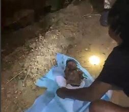 Newborn rescued from latrine in Obuasi after timely fire service response