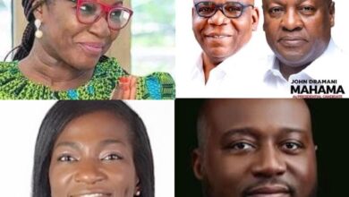 Mahama Appoints Joyce Bawa’s Sister, Brother,  Brother-in-Law and Husband Into Govt 