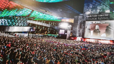 Exploring the World of Cinema at the Busan International Film Festival