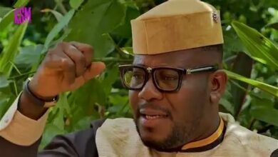 If you want the nation to fail because it’s not you leading, you are corrupt – Johnnie Hughes to NPP