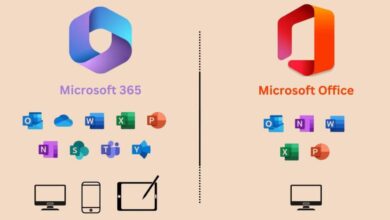 Microsoft Office Free Download: What Are Your Options in 2025?