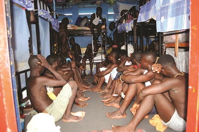 Prisoners granted amnesty