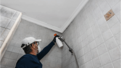 Keeping your property safe from mold and mildew