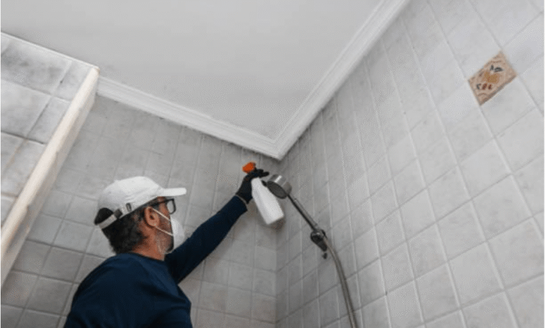 Keeping your property safe from mold and mildew