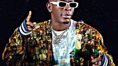 Your King is safe - Shatta Wale speaks after EOCO release