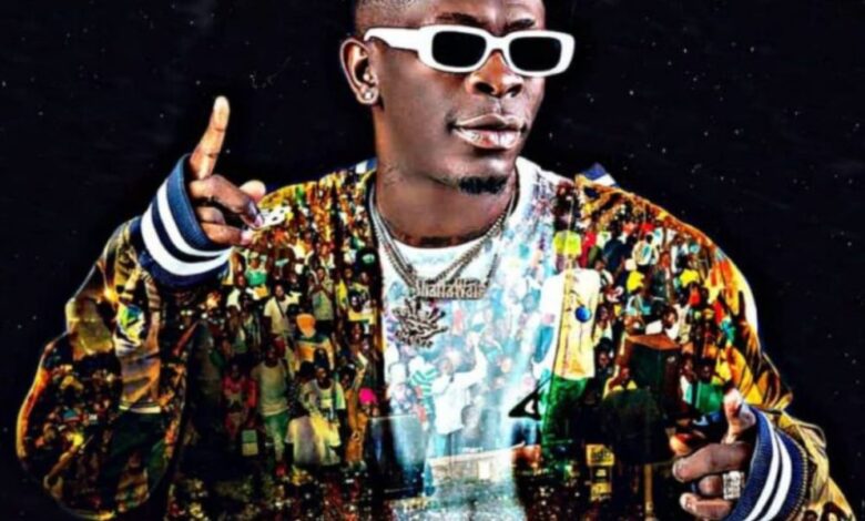 Your King is safe - Shatta Wale speaks after EOCO release