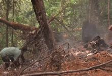 Cash reward offered for return of helicopter parts from crash site