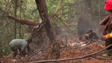 Cash reward offered for return of helicopter parts from crash site