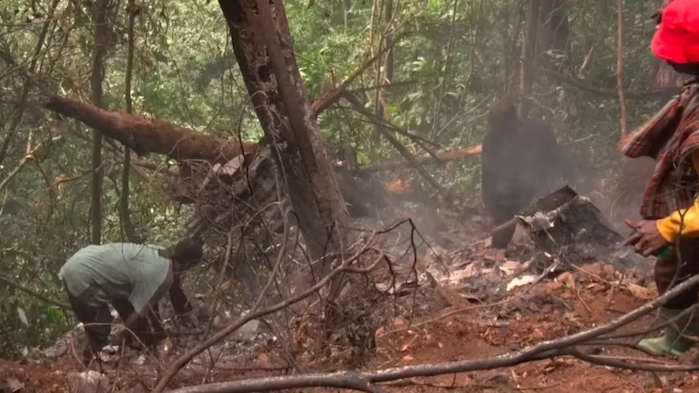 Cash reward offered for return of helicopter parts from crash site