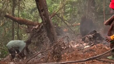 Forensic expert faults handling of helicopter crash victims
