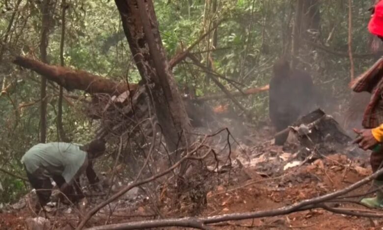 Forensic expert faults handling of helicopter crash victims
