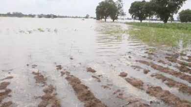 Farmer drowns in white Volta amid Bagre Dam spillage