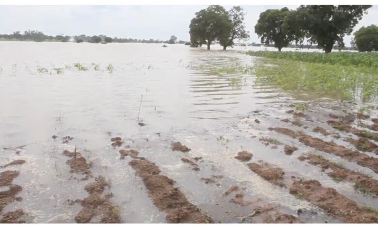 Farmer drowns in white Volta amid Bagre Dam spillage