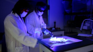 We must build a National DNA database