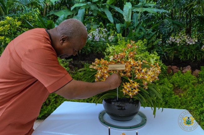 Singapore honours President Mahama with Orchid named after him