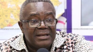 We need to kill the elephant called protocol — Aheto-Tsegah