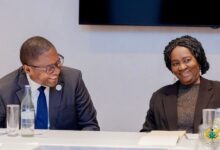 Vice President meets UN Special Advisor, calls for holistic climate solutions