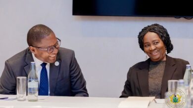 Vice President meets UN Special Advisor, calls for holistic climate solutions
