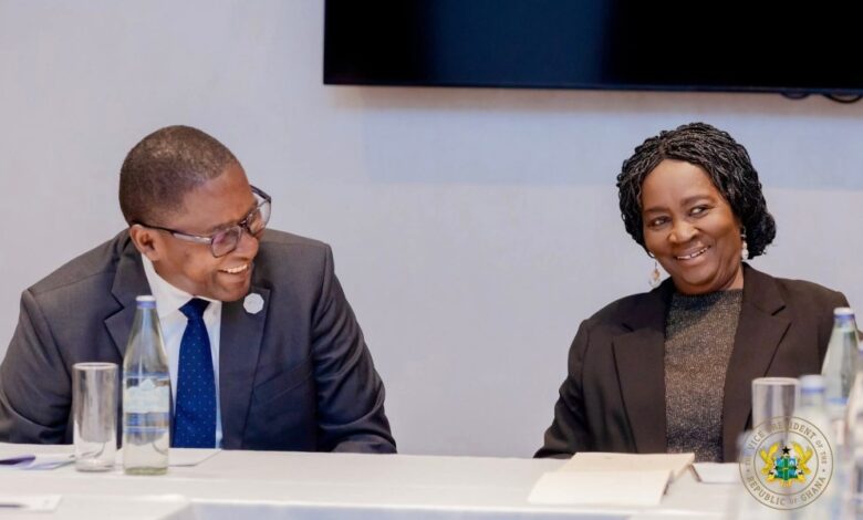 Vice President meets UN Special Advisor, calls for holistic climate solutions