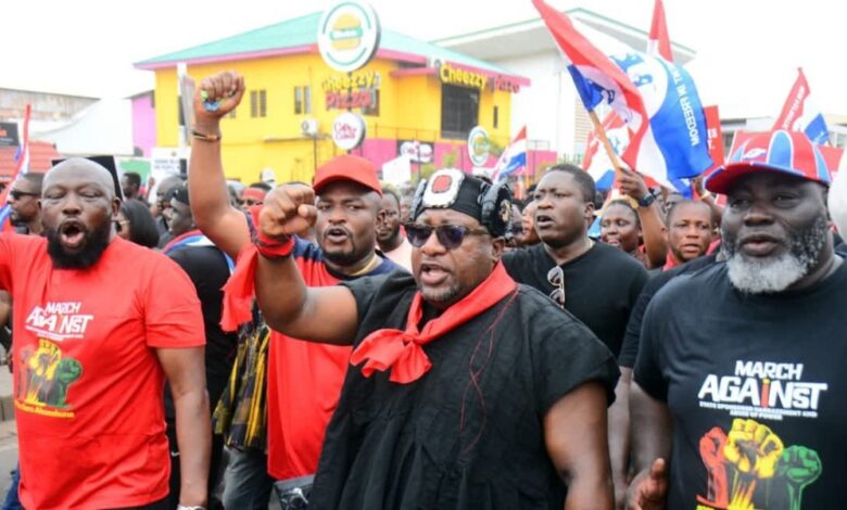 Weaponization of state institutions will not stop us — Nana B