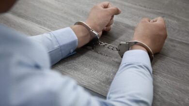 How Criminal Charges Affect Professional Licensing