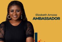 Ambassador for the ENDO1000 Project