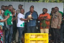 President Mahama pledges full support to revive poultry industry