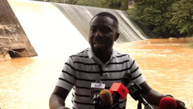 Declare state of emergency now – Miracles Aboagye tells gov't over galamsey