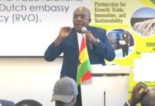 Come to Ghana, you will never regret – Orleans-Lindsey urges Dutch investors