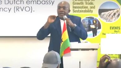 Come to Ghana, you will never regret – Orleans-Lindsey urges Dutch investors