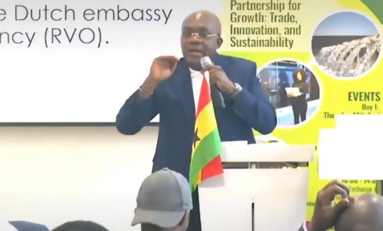 Come to Ghana, you will never regret – Orleans-Lindsey urges Dutch investors