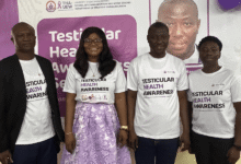 The testicle is the most hardworking organ of the male body