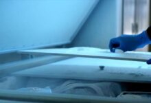 Woman arrested after confessing to hiding daughter’s body in freezer for 20 years