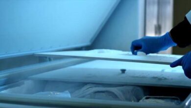 Woman arrested after confessing to hiding daughter’s body in freezer for 20 years
