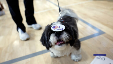 California woman charged after registering dog to vote