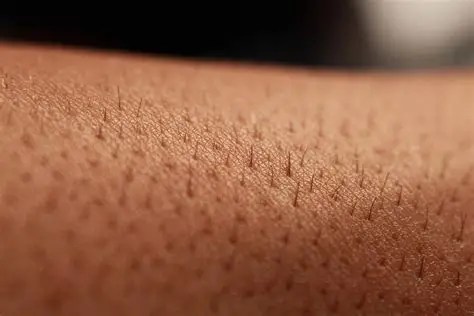 The Science and Benefits of Skin Barrier Film