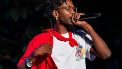 I was born to entertain — Tinny