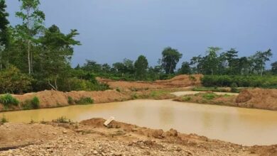 We legally called for this destruction – Kwaku Afari on galamsey