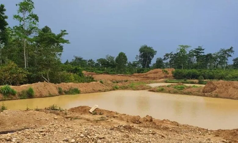We legally called for this destruction – Kwaku Afari on galamsey