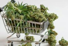 How Dispensaries in Chicago Make First-Time Cannabis Purchases Simple