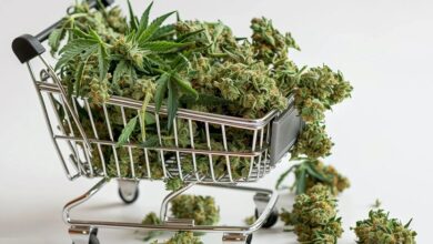 How Dispensaries in Chicago Make First-Time Cannabis Purchases Simple