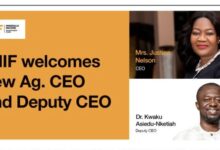 Asiedu Nketia’s Son Booted Out of ‘Juicy’ MIIF, Now at Jubilee Hse