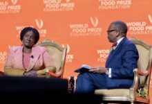 We must end Ghana’s $2 billion food import bill — Vice President Naana Opoku-Agyemang