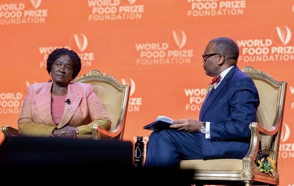 We must end Ghana’s $2 billion food import bill — Vice President Naana Opoku-Agyemang
