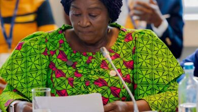 Gov't partners researchers to tackle food safety and sustainable mining